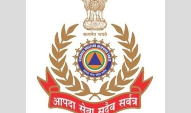 एनडीआरएफ ने शिमला के भूस्खलन प्रभावित समर हिल में खोज और बचाव जारी रखा