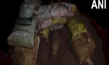 हरियाणा के पंचकुला में बम का गोला मिला