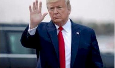 जीओपी प्राइमरी चुनाव में जीत के बाद बाइडेन और डोनाल्ड ट्रंप होंगे आमने-सामने!