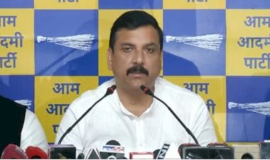 अदाणी घोटाले मामले की जांच जेपीसी से कराई जाए', आप सांसद संजय सिंह ने ओसीसीआरपी रिपोर्ट के बाद कही ये बात