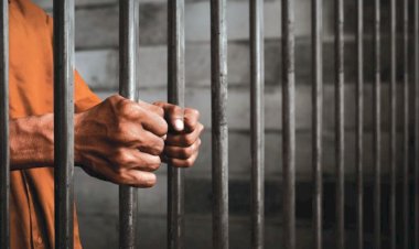 ब्रिटेन में मनी लॉन्ड्रिंग, मानव तस्करी के आरोप में सजा पाने वाले 16 लोगों में पंजाबी भी शामिल