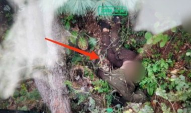 जम्मू-कश्मीर : बारामूला में सुरक्षा बलों ने घुसपैठ की कोशिश को नाकाम करते हुए 3 आतंकवादियों को मार गिराया