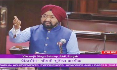 आप राज्यसभा सांसद विक्रमजीत साहनी ने संसद में पंजाबियों की पीड़ा का ज़िक्र किया