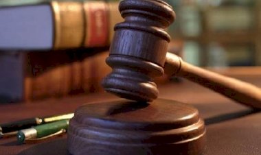 पंजाब & हरियाणा बार काउंसिल ने काम किया ठप, जानिए क्या है पूरा मामला