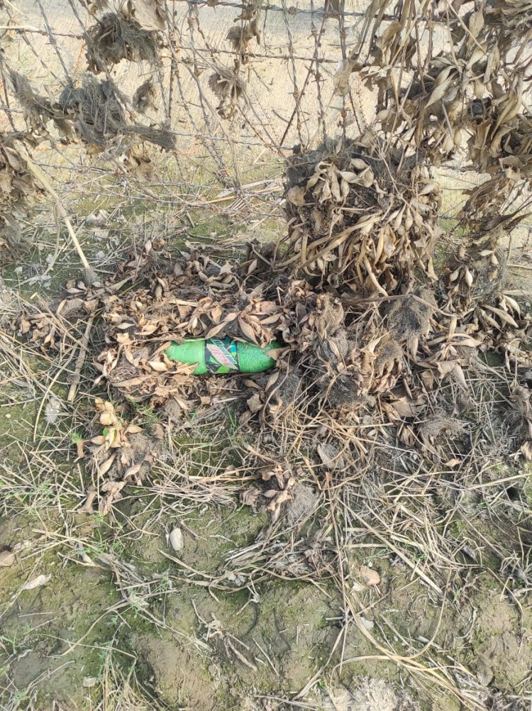 बीएसएफ ने तरनतारन सेक्टर में सीमा के पास 1.3 किलोग्राम ड्रग्स से भरी बोतल जब्त की