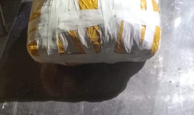 तरनतारन में बीएसएफ ने ड्रोन को मार गिराया, 2.7 किलोग्राम ड्रग्स जब्त किया