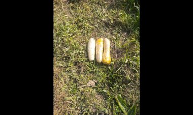 बीएसएफ ने फिरोजपुर में ग्रामीण के घर में अज्ञात द्वारा गिराई गई 3 किलो हेरोइन जब्त की