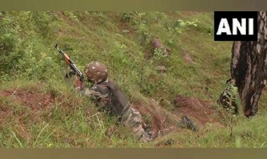 जम्मू-कश्मीर के शोपियां में सुरक्षा बलों के साथ मुठभेड़ में लश्कर के दो आतंकवादी मारे गए