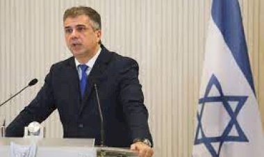 हम यूएनजीए के युद्धविराम के आह्वान को अस्वीकार करते हैं: इज़राइल के विदेश मंत्री