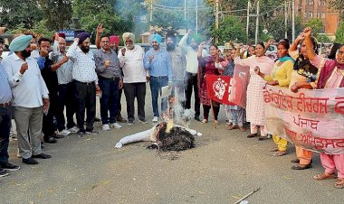 सहायक प्रोफेसर बलविंदर कौर की आत्महत्या के लिए जिम्मेदार लोगों के खिलाफ कार्रवाई करें: डीटीएफ