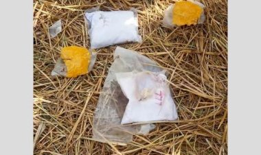 बीएसएफ-पंजाब पुलिस ने 'संयुक्त तलाशी अभियान' में फिरोजपुर में 1.630 किलोग्राम हेरोइन बरामद की