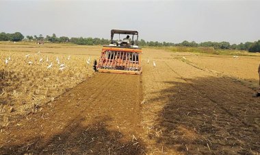 राज्य भर में 87% धान की कटाई, 17.56 मीट्रिक टन फसल अवशेष उत्पन्न