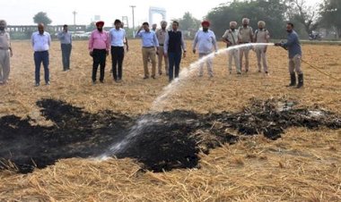 पंजाब में पराली जलाने के मामलों में तीसरे दिन भी गिरावट जारी, उल्लंघन करने वालों के खिलाफ 1084 एफआईआर दर्ज