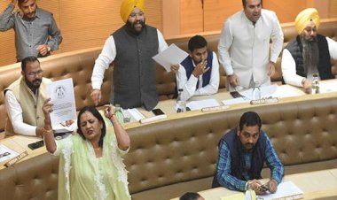 चंडीगढ़ नगर निगम की बैठक में आम आदमी पार्टी के पार्षद ने पार्कों की सफाई का मुद्दा उठाया