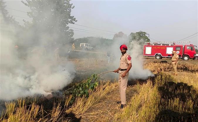 पंजाब में पराली जलाने के खिलाफ कार्रवाई के बाद खेतों में आग लगने की घटनाओं में भारी गिरावट देखी गई; 251 एफआईआर दर्ज