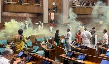 लोकसभा में दर्शक दीर्घा से कूदा युवक, दबोचने में जुटे सांसद, जूते से स्प्रे निकालकर फैला दिया धुआं