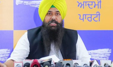 'आप' पंजाब ने पीयू में उपराष्ट्रपति के बयान की निंदा की, कहा - पंजाब यूनिवर्सिटी पर किसी अन्य राज्य का कोई अधिकार नहीं