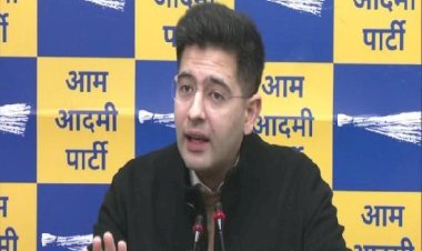 चंडीगढ़ मेयर चुनाव रखेगा लोकसभा चुनाव की नींव : राघव चड्ढा