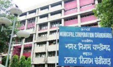 6 फरवरी काफी दूर है, चंडीगढ़ मेयर चुनाव के लिए निकटतम तारीख तय करें: उच्च न्यायालय