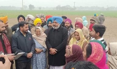 पहली बार, पंजाब सरकार ने पंचायत को प्रदान करने के लिए निजी भूमि खरीदी: मंत्री हरपाल चीमा