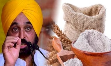पंजाबियों के लिए बड़ी खबर..गेहूं-आटे की होम डिलीवरी को लेकर बड़ा अपडेट