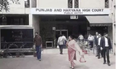  हरियाणा की 41 हजार भर्तियों पर आज फैसला:हाईकोर्ट ने लगा रखा है स्टे