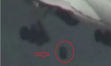 उड़ान भरने के चंद सेकंड बाद प्लेन से अलग हुआ टायर,  बाल-बाल बचे यात्री