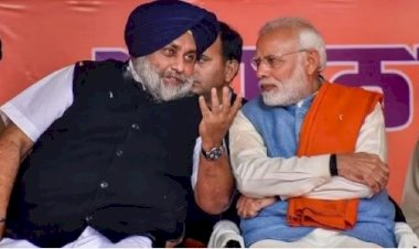 पंजाब में अकेले चुनाव लड़ेगी भाजपा , अकाली दल से नहीं बन पाई गठबंधन पर सहमति