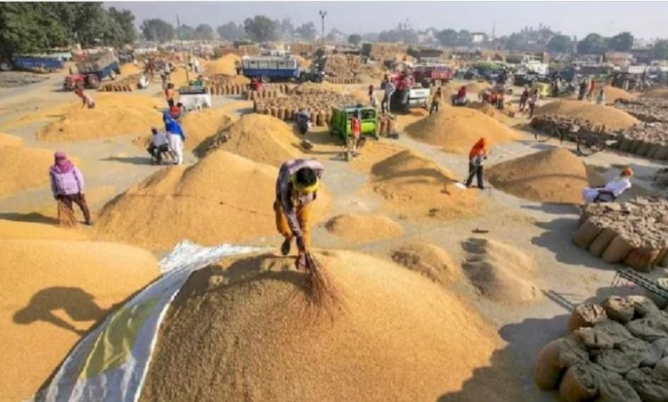  हरियाणा में 31 फीसदी किसानों को नहीं मिलेगा MSP का लाभ  जानें कारन और पढ़े पूरी ख़बर 