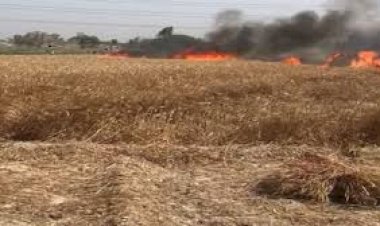 गेहूं की कटी फसल में लगी आग,  जलकर राख हुई पूरी फसल