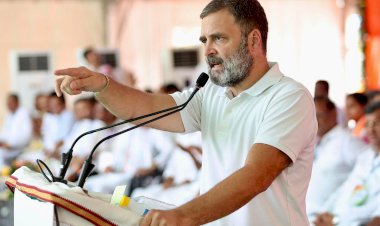 राहुल गांधी कल हरियाणा में भरेंगे हुंकार, एक दिन में करेंगे तीन रैलियां, क्या बदलेगी हरियाणा की सियासी फिजा ?