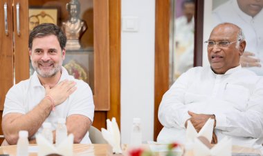 राहुल गांधी लोकसभा में बने नेता विपक्ष, जानिए क्या-क्या मिलेंगे अधिकार, सरकारी कामों पर कैसे रख पाएंगे नजर?