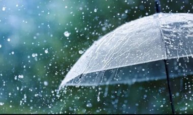 हरियाणा में आज से तीन दिन तक बारिश के आसार, येलो अलर्ट जारी