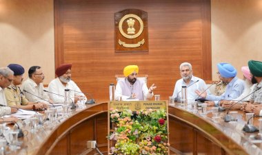 पंजाब में धान की खरीद पर सरकार के बड़े फैसले, CM मान की अगुवाई में हुई मीटिंग, बनी रणनीति