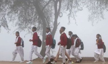 हरियाणा के चार जिलों के प्राइमरी स्कूल बंद, ऑनलाइन होगी पढ़ाई, 10 और शहरों में स्कूल बंद करने की तैयारी