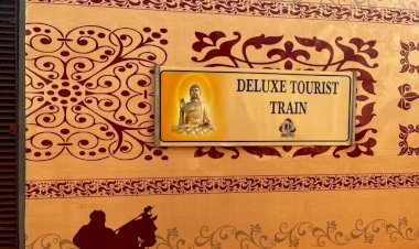 18वें प्रवासी भारतीय दिवस के मौके पर पीएम मोदी ने भारतीय प्रवासी एक्सप्रेस को दिखाई हरी झंडी