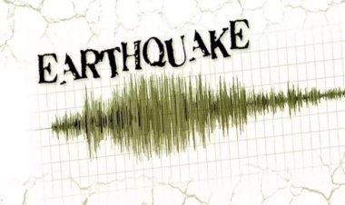 दिल्ली में तेज भूकंप से हिली धरती, गड़गड़ाहट की आवाज सुनाई दी, वैज्ञानिकों ने बताई ये वजह, पढ़ें पूरी खबर