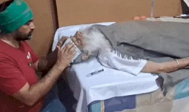 जगजीत सिंह डल्लेवाल की तबीयत बिगड़ी, उन्हें 103 डिग्री बुखार आया, पढ़िए पूरी खबर