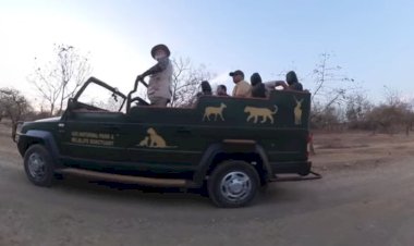 पीएम मोदी ने गुजरात के गिर में जंगल सफारी का लिया आनंद , पढ़ें पूरी खबर