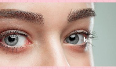 Health care tips: आंखों की रोशनी रहेगी बरकरार, अपनी डाइट में शामिल करें ये फूड्स