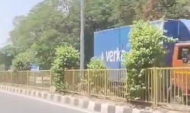 पंजाब में अगले 5 दिन बारिश और आंधी का अलर्ट, किसानों को सावधान रहने की सलाह