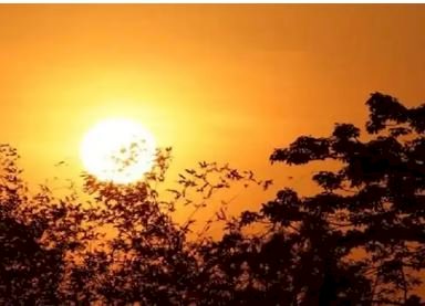 Weather Update: पंजाब में कल से लू का अलर्ट जारी, 4 दिन में और बढ़ सकता है तापमान