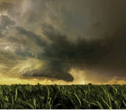 मौसम परिवर्तन से तापमान में गिरावट, कल से बढ़ सकता है तापमान