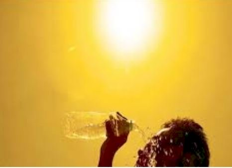 Weather Update: पंजाब में अगले 4 दिनों के लिए लू की चेतावनी जारी