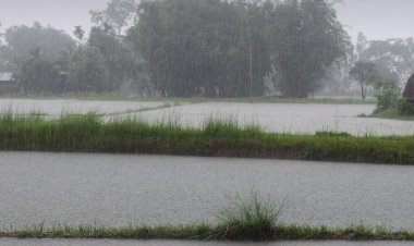 Weather Update: पंजाब के इन जिलों में आज बारिश और आंधी का अलर्ट, जानें आज के मौसम का हाल