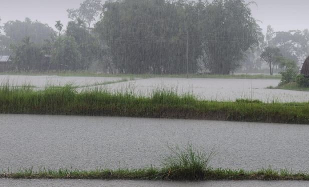 Weather Update: पंजाब में बदलेगा मौसम, अगले 3 दिन इन जिलों में बारिश और तूफान का अलर्ट