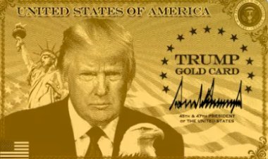 क्या हैं H-1B श्रमिकों के लिए ट्रम्प के गोल्ड, प्लैटिनम, कॉर्पोरेट गोल्ड कार्ड ?