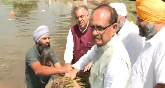 कृषि मंत्री शिवराज सिंह चौहान पहुंचे पंजाब बाढ़ प्रभावित क्षेत्रों का किया दौरा