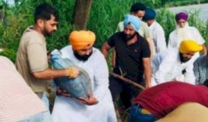 पंजाब सरकार का ‘ऑपरेशन राहत’ बना बाढ़ पीड़ितों और किसानों का सहारा! 50 परिवारों को मिली नई ज़िंदगी, मंत्री बैंस खुद उतरे मैदान में!