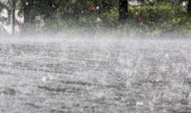 प्रदेश में फिर बदला मौसम का मिजाज, तीन दिन तक भारी बारिश का येलो अलर्ट जारी